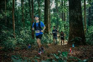 BIB: 
                            <button type="button" onclick="openModal(26130698)" class="btn btn-primary btn-sm float-right btn-popup" data-toggle="modal" data-target=".modal-high-quality">
                        <i class="fas fa-shopping-cart"></i> Add to Cart
                    </button>
                                            <button type="button" onclick="isThisMe(26130698, true)" class="btn btn-success btn-sm float-right btn-popup btn-isme hidden" data-toggle="tooltip" data-placement="bottom" title="นี่คือรูปของคุณใช่ไหม คลิกที่นี่เพื่อเอาเข้าอัลบั้ม">
                        <i class="fas fa-plus"></i> Add to album
                    </button>
                    <button type="button" onclick="isThisMe(26130698, false)" class="btn btn-warning btn-sm float-right btn-popup btn-isnotme hidden">
                        <i class="fas fa-ban"></i> Remove from album
                    </button>